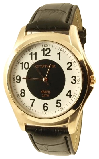 Wrist watch Sputnik M-856700/8 cher.+bel. for men - picture, photo, image