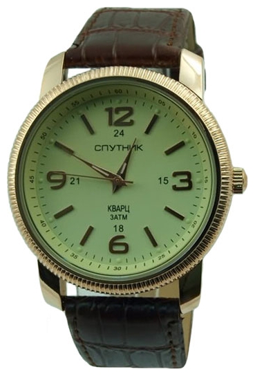 Wrist watch Sputnik M-856731/8 zhel. rem. for men - picture, photo, image