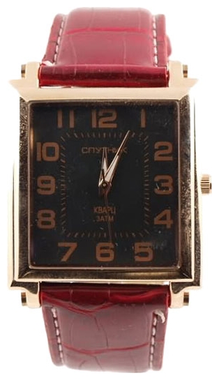 Wrist watch Sputnik M-856760/8 cher. rem. for Men - picture, photo, image
