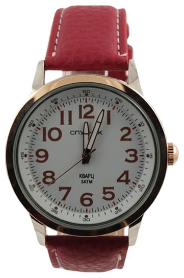 Wrist watch Sputnik M-856810/6 bel. for men - picture, photo, image