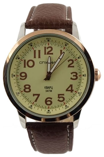 Wrist watch Sputnik M-856810/6 zhel. for men - picture, photo, image