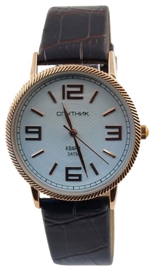 Wrist watch Sputnik M-856831/8 bel. for men - picture, photo, image