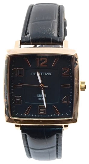 Wrist watch Sputnik M-856950/8 cher. for Men - picture, photo, image