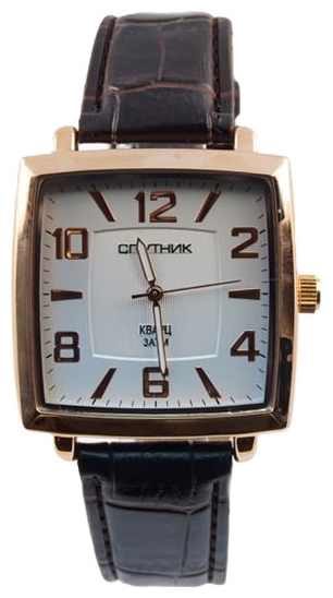 Wrist watch Sputnik M-856950/8 stal for Men - picture, photo, image