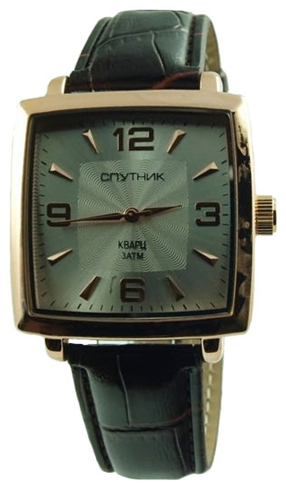 Wrist watch Sputnik M-856951/8 stal for Men - picture, photo, image