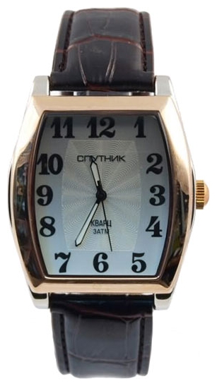 Wrist watch Sputnik M-856960/6 stal for Men - picture, photo, image