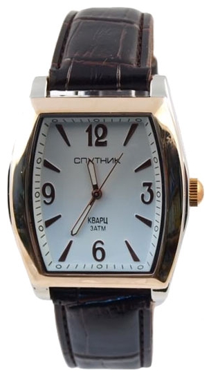 Wrist watch Sputnik M-856961/6 bel. for Men - picture, photo, image