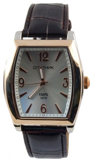 Wrist watch Sputnik M-856961/6 stal for Men - picture, photo, image