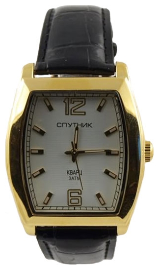 Wrist watch Sputnik M-856962/9 bel. rem. for Men - picture, photo, image