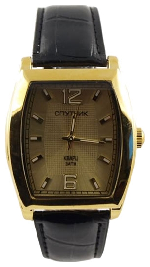 Wrist watch Sputnik M-856962/9 zhel. for Men - picture, photo, image