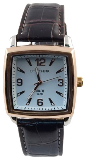 Wrist watch Sputnik M-856971/6 bel. for Men - picture, photo, image