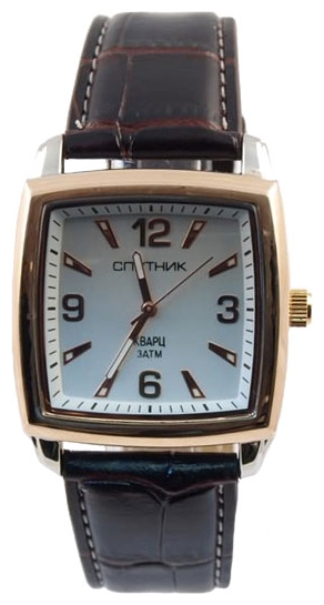 Wrist watch Sputnik M-856971/6 stal for Men - picture, photo, image