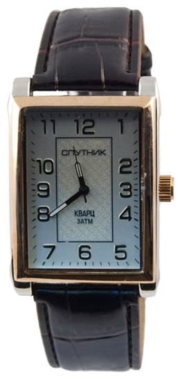 Wrist watch Sputnik M-856980/6 stal for men - picture, photo, image
