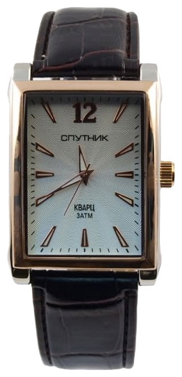 Wrist watch Sputnik M-856981/6 stal for Men - picture, photo, image