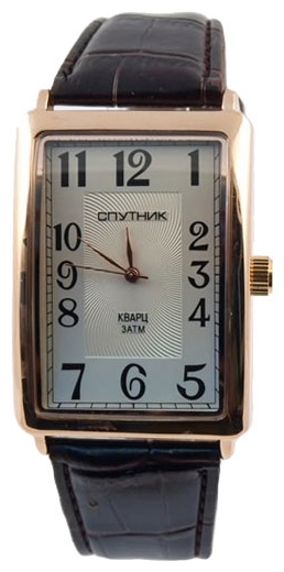 Wrist watch Sputnik M-856990/8 stal for Men - picture, photo, image
