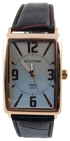Wrist watch Sputnik M-856991/8 stal for men - picture, photo, image