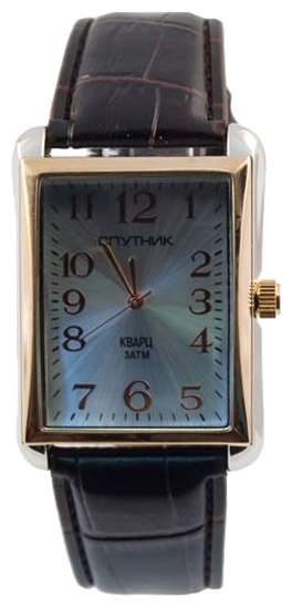Wrist watch Sputnik M-857010/6 stal for men - picture, photo, image