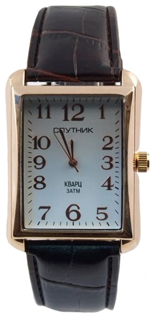 Wrist watch Sputnik M-857010/8 bel. for Men - picture, photo, image