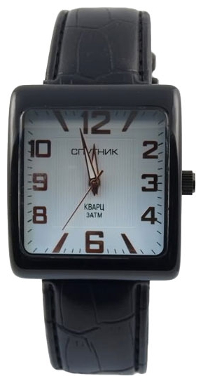 Wrist watch Sputnik M-857100/3 bel. for Men - picture, photo, image