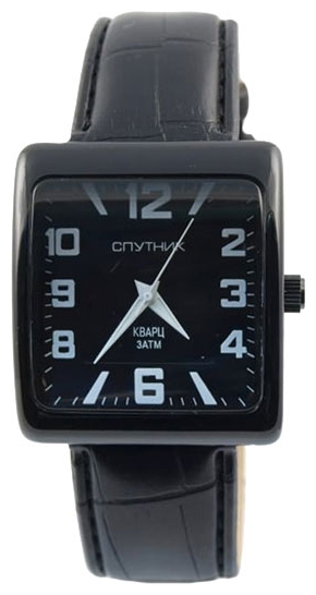 Wrist watch Sputnik M-857100/3 cher. for Men - picture, photo, image