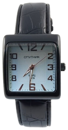 Wrist watch Sputnik M-857100/3 stal for Men - picture, photo, image