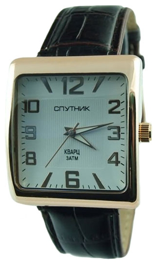 Wrist watch Sputnik M-857100/8 bel. for Men - picture, photo, image