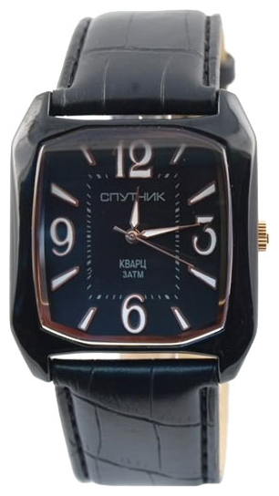 Wrist watch Sputnik M-857130/3 cher. for Men - picture, photo, image