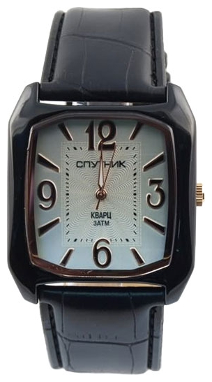 Wrist watch Sputnik M-857130/3 stal for Men - picture, photo, image