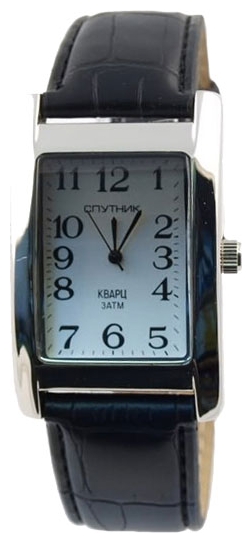 Wrist watch Sputnik M-857160/1 stal for men - picture, photo, image