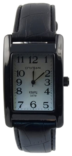 Wrist watch Sputnik M-857160/3 stal for Men - picture, photo, image