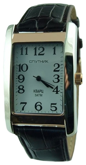 Wrist watch Sputnik M-857160/6 bel. for men - picture, photo, image