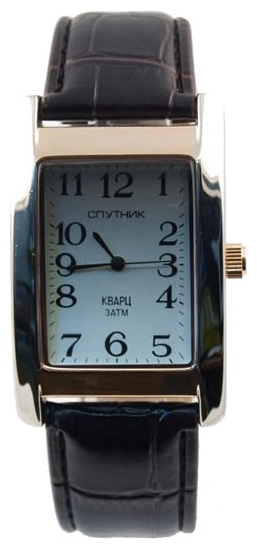 Wrist watch Sputnik M-857160/6 stal for men - picture, photo, image