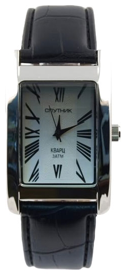 Wrist watch Sputnik M-857161/1 stal for Men - picture, photo, image