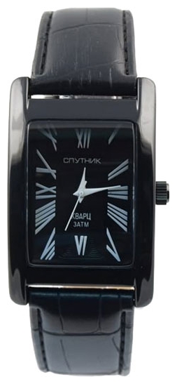 Wrist watch Sputnik M-857161/3 cher. for Men - picture, photo, image