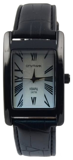 Wrist watch Sputnik M-857161/3 stal for men - picture, photo, image