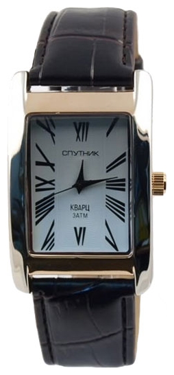 Wrist watch Sputnik M-857161/6 bel. for Men - picture, photo, image