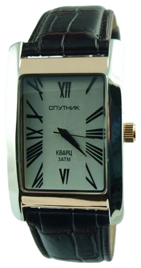 Wrist watch Sputnik M-857161/6 stal for Men - picture, photo, image