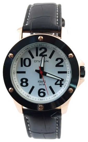 Wrist watch Sputnik M-857171/8.3 stal for Men - picture, photo, image
