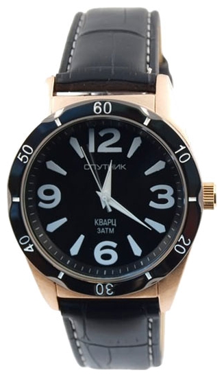 Wrist watch Sputnik M-857210/8.3 cher. for Men - picture, photo, image
