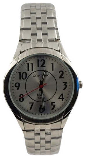 Wrist watch Sputnik M-995990/1 stal for Men - picture, photo, image