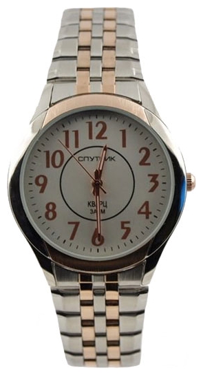 Wrist watch Sputnik M-995990/6 bel. for men - picture, photo, image