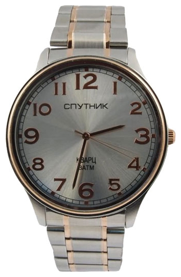 Wrist watch Sputnik M-996000/6 stal for men - picture, photo, image