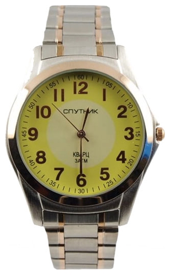 Wrist watch Sputnik M-996050/6 zhel. for Men - picture, photo, image