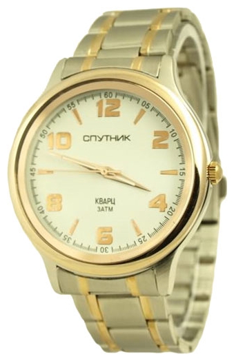 Wrist watch Sputnik M-996081/6 bel. for Men - picture, photo, image