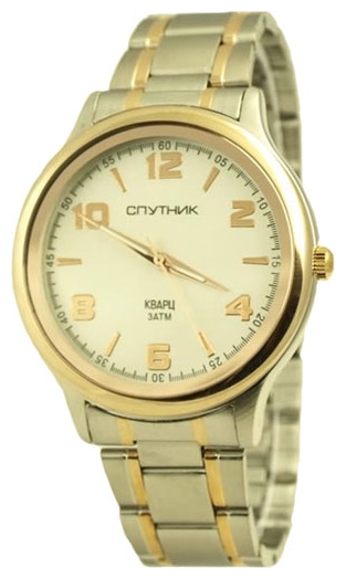 Wrist watch Sputnik M-996081/6 stal for Men - picture, photo, image