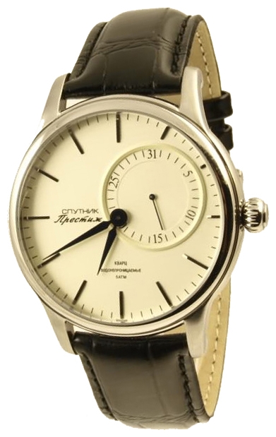 Wrist watch Sputnik NM-1D094/1 bezh. for men - picture, photo, image