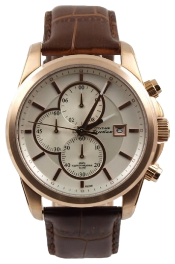 Wrist watch Sputnik NM-1E174/8 stal for Men - picture, photo, image