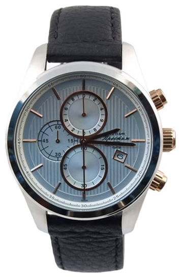 Wrist watch Sputnik NM-1E224/1 stal,roz. for Men - picture, photo, image