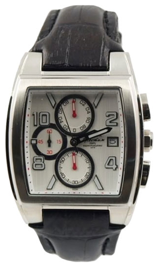 Wrist watch Sputnik NM-1E424/1 bel. for Men - picture, photo, image