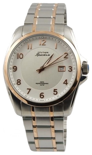 Wrist watch Sputnik NM-1E454/6 bel+stal for Men - picture, photo, image